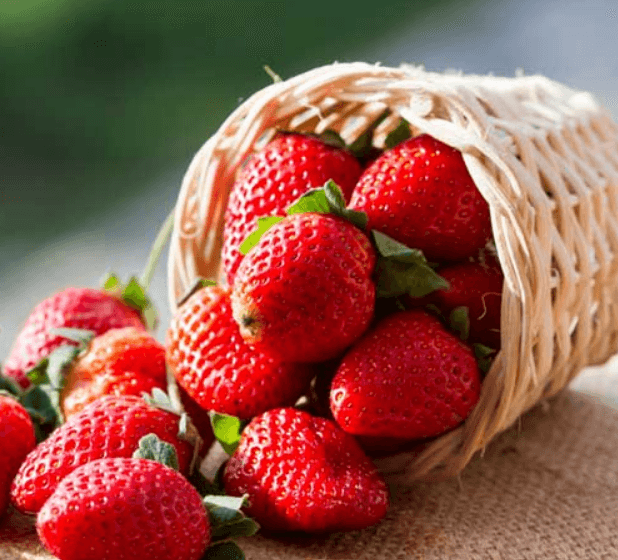 كولومبيا فراولة